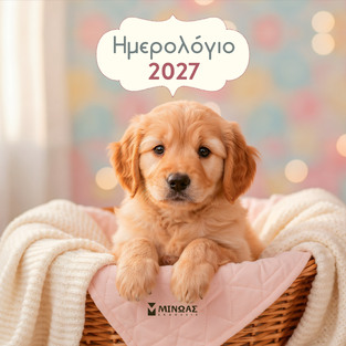 2027 ΗΜΕΡΟΛΟΓΙΟ ΤΟΙΧΟΥ ΣΚΥΛΑΚΙΑ 30x30cm