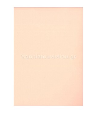 FAVINI ΧΑΡΤΟΝΙ 70x100cm 220gr ΣΟΜΟΝ No30