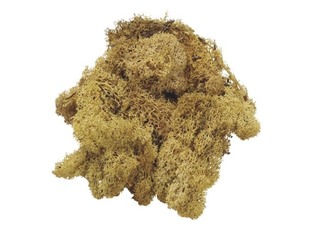 KNORR PRANDELL ΒΡΥΑ ΦΥΣΙΚΟ 50GR 2166994977