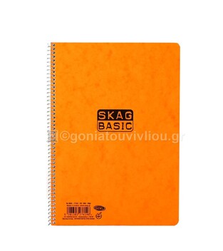 SKAG ΤΕΤΡΑΔΙΟ ΣΠΙΡΑΛ 17x25cm 2 ΘΕΜΑΤΩΝ 60φ BASIC ΠΟΡΤΟΚΑΛΙ 276146