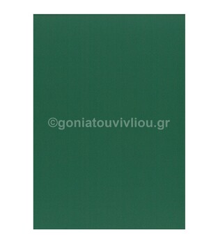 FAVINI ΧΑΡΤΟΝΙ 50x70cm 220gr ΚΥΠΑΡΙΣΣΙ PINO No20