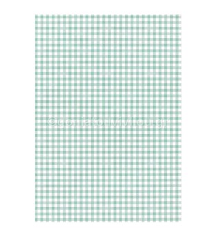 URSUS ΧΑΡΤΟΝΙ 50Χ70 ΚΑΡΟ (ΚΑΡΩ) ΠΡΑΣΙΝΟ 300GR 58